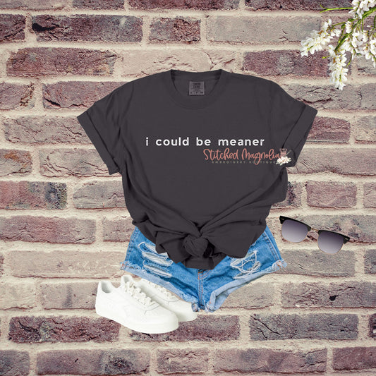 I could be meaner T-Shirt | Funny Dry Humor | Humor T-Shirt | Sarcasm Shirt | Adult Sarcastic Tee